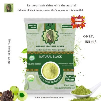 Natural Black Henna Powder img 1- queenofhenna.com